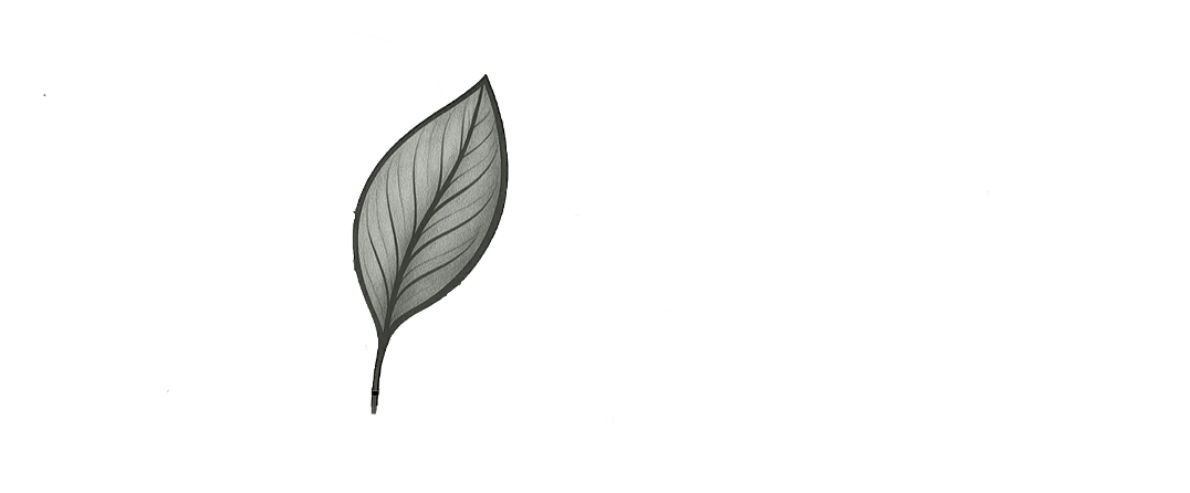Renox Amenagement Inc